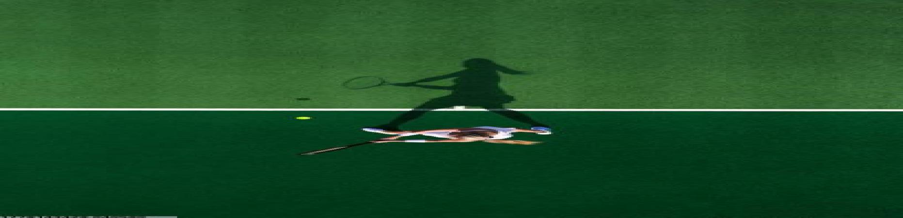 世界杯比分预测深度联动体育品牌合作